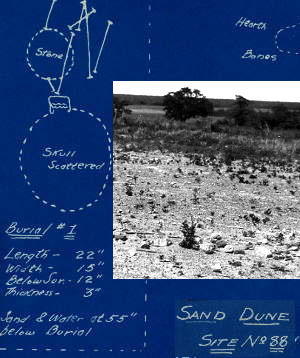 Map and inset photo of a typical "Sand Dune" site
