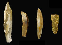 Clovis blades from Gault site, about 13,000 years old. These blades were used as is as cutting tools or further shaped to create various other tools.