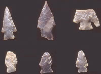 Variety of dart points found at the site. As tips on a light spear or dart, these likely were propelled by an ataltl. Photo by Milton Bell.