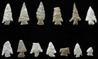 Small, light-weight points, such as these known as Scallorn from the Graham-Applegate site, tipped arrows used in the new weaponry system adopted around A.D. 700. Forcefully propelled from a bow, even the smallest points could fell game such as deer and bison. The specimen shown at bottom right is smaller than a dime. Photo by Milton Bell.