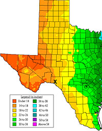 map of average rainfall in Texas