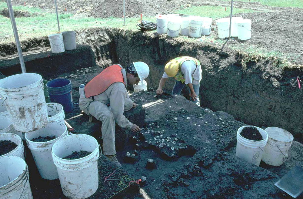 Photo of the excavation