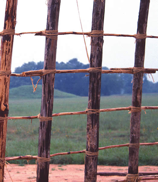 photograph of a detail of the house skeleton with horizontal lashing between vertical poles, with trees and grass in the background