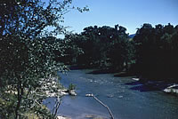 photo of Guadalupe River