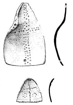 drawing of marine shell pendants