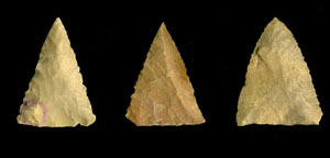photo of early triangular dart points
