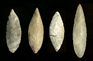 photo of bi-pointed dart points