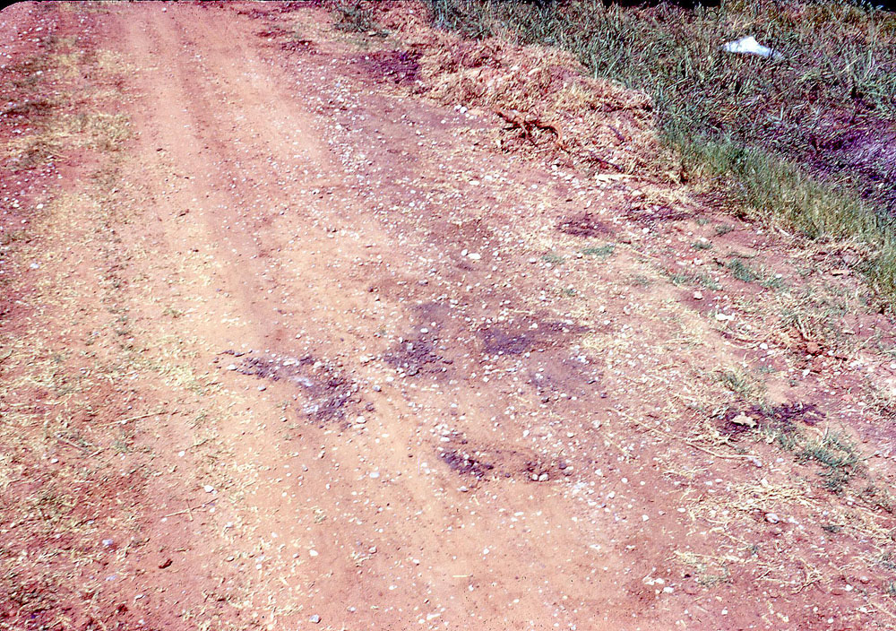 photo of the Governor's house exposed in road