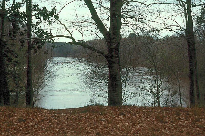 photo of the Neches River