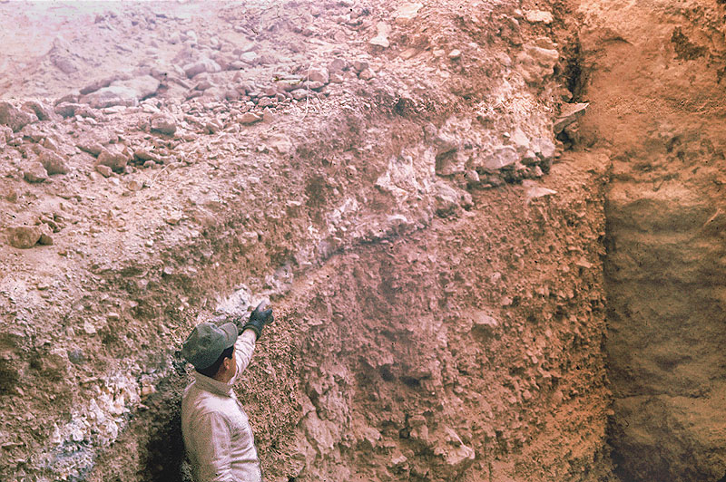 Crew member Carlos Guerra points to Bone Bed 3, exposed in profile along N50. Photo taken by Dave Dibble on February 19, 1964.