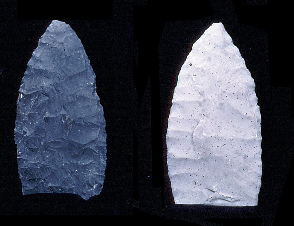 Fragments of possible Clovis points from Bone Bed 2.  Identification by Michael Collins.  Photo by Milton Bell.