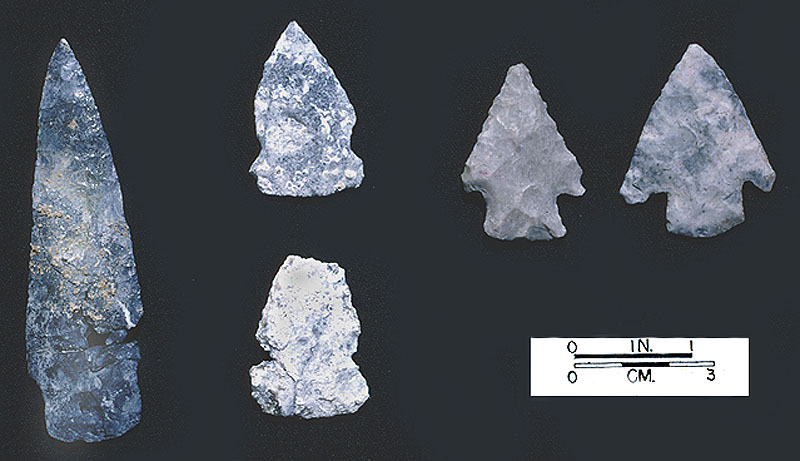 Dart points from Bone Bed 3; Left to right: odd stemmed point (possible knife), two side-notched points (one above the other), and two Castroville points (side-by-side).