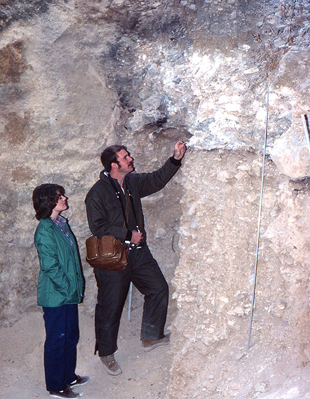 Visitors looking at Bone Bed 3 in newly cleaned excavation wall re-exposed during 1983 investigations. Photo by Jack Skiles.