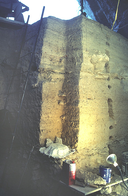 Profile with deep unit in central area of shelter after microfauna column has been removed. Photo by Jack Skiles, 1983.