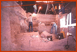 Looking grid north into main excavation block midway through 1983 season. Archeologists removing bone from Bone Bed 2. Photo by Jack Skiles.