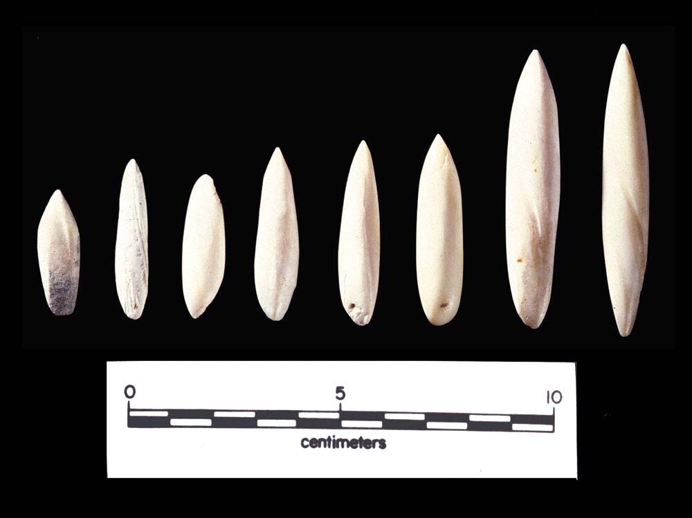 These shell projectile tips were fashioned out of the columella, or central column, of the conch shell. In the Rio Grande Delta, shell was used to make many tools that were ordinarily made of stone in inland areas of Texas.