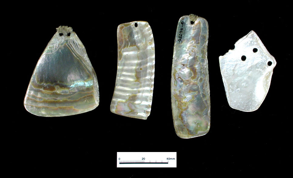 Abalone from the Pacific and other shells were cut into shape and drilled with stone awls to make pendants such as these.