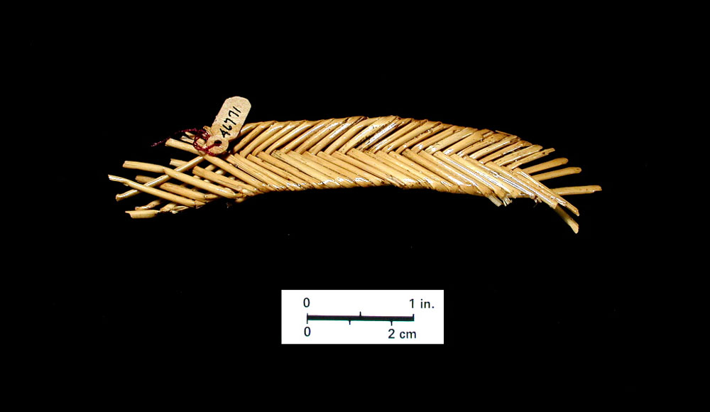 A tightly woven strip of yucca fibers may have been part of a tumpline, or headband loop used when carrying heavy loads.