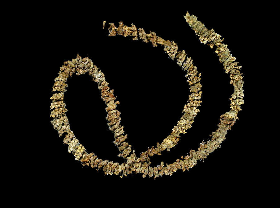 A remnant of a once-elaborate cape or robe, this section of cording at one time was entwined with feathers or bits of fur. The complete specimen—yards of twine holding long turkey feathers or perhaps lengths of rabbit pelt—would have been a warm outer garment or perhaps was fit for a shaman's ceremonial attire.