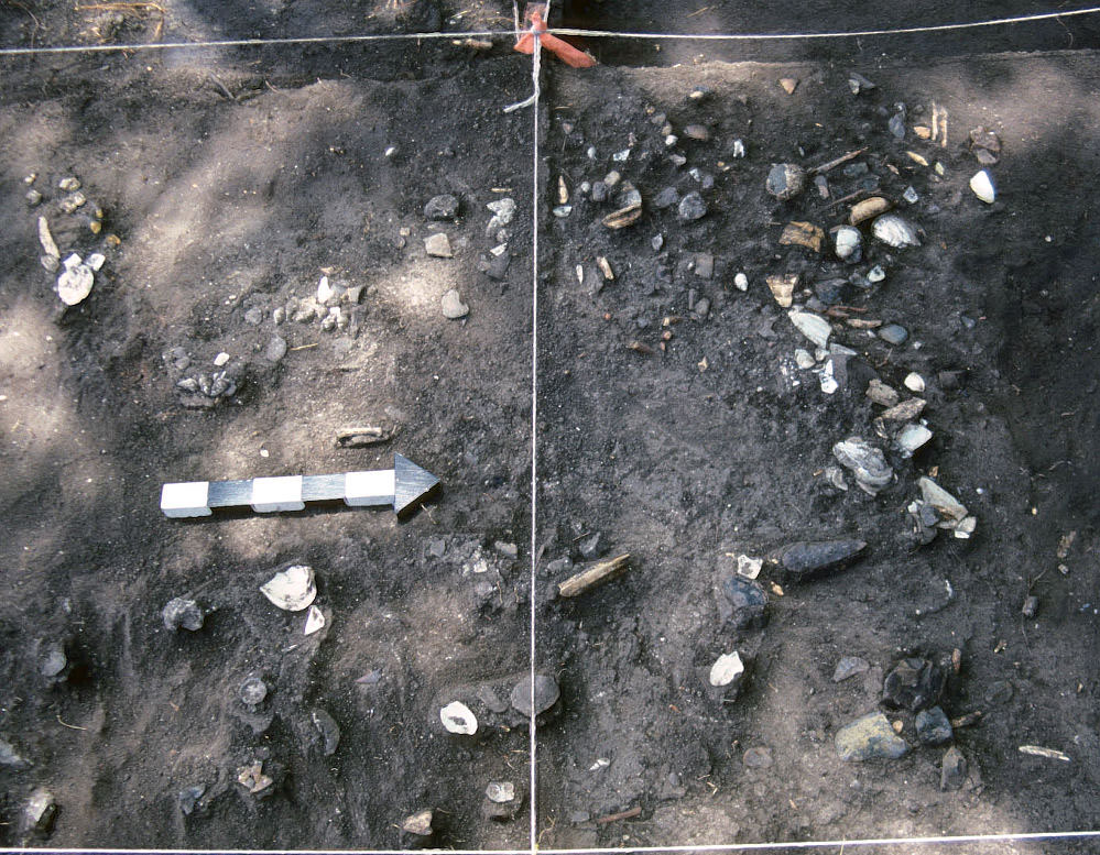 photo of archaeological debris
