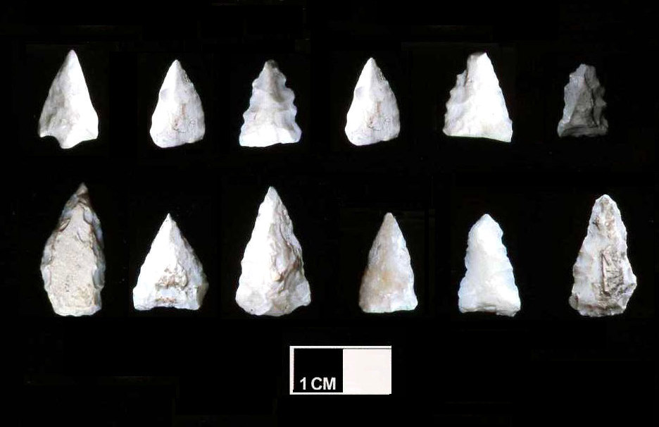 Triangular arrowpoints made from shell