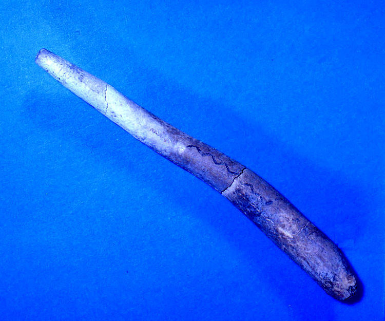 Deer antler and bone were an important raw material for tools