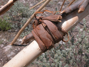 photo of Willow bark used as ties