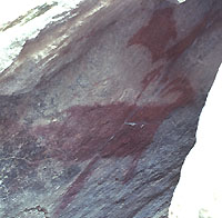 The rock art: mountain sheep with spear, a late Archaic style pictograph.