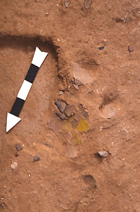 Pottery-making tools on the floor of Room 26, including sherd paint palettes, paint, polishing pebbles, and unfired clay bowl (bottom center).