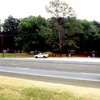 Area of Camp Ford as it appears today. Historical marker and picnic tables mark the edge of the site along U.S. Highway 271. Pine trees in the background were planted in 1942. Photo by Steve Black.
