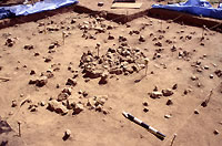 House 5 after excavation. Photo by Chuck Hixson.