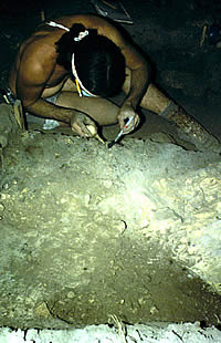 photo of an archeologist using a brush