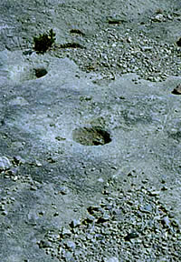 photo of bedrock mortars