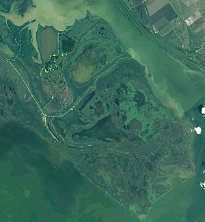 Image of Aerial view of modern Guadalupe River delta.