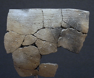 Image of Large partially reconstructed rim section.