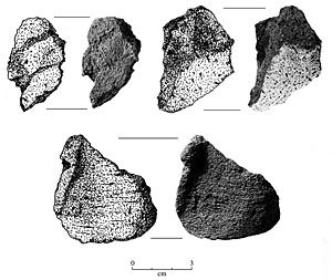 Image of Pumice abraiders.