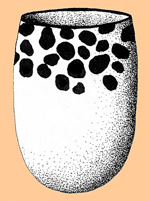 Image of Idealized Rockport Black, Mesquite Bay motif jar.