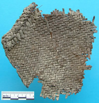 basketry fragment