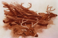 Artist's deptiction of a pile of deer head antlers