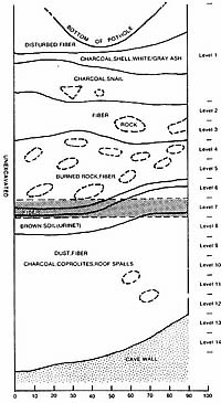 profile of south wall