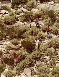 photo of canyon