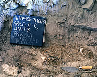 Prickly pad floor of excavation unit