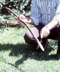 Photo of Harry Shafer holding a digging stick