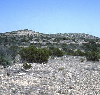 photo of Blue Hills