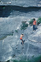 photo of woker climbing