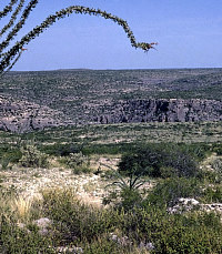 photo of Lower Pecos area