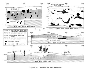 stratigraphic profiles from different exavation areas