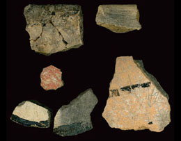 photo of pottery sherds