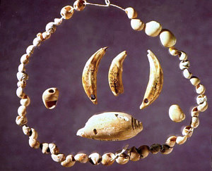photo of shell adornments and coyote teeth