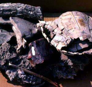 photo of grave items from burial 